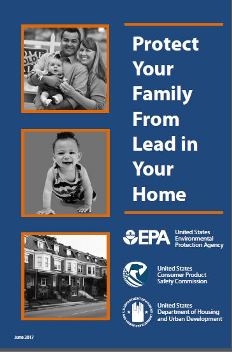 Protect your family from lead in your home